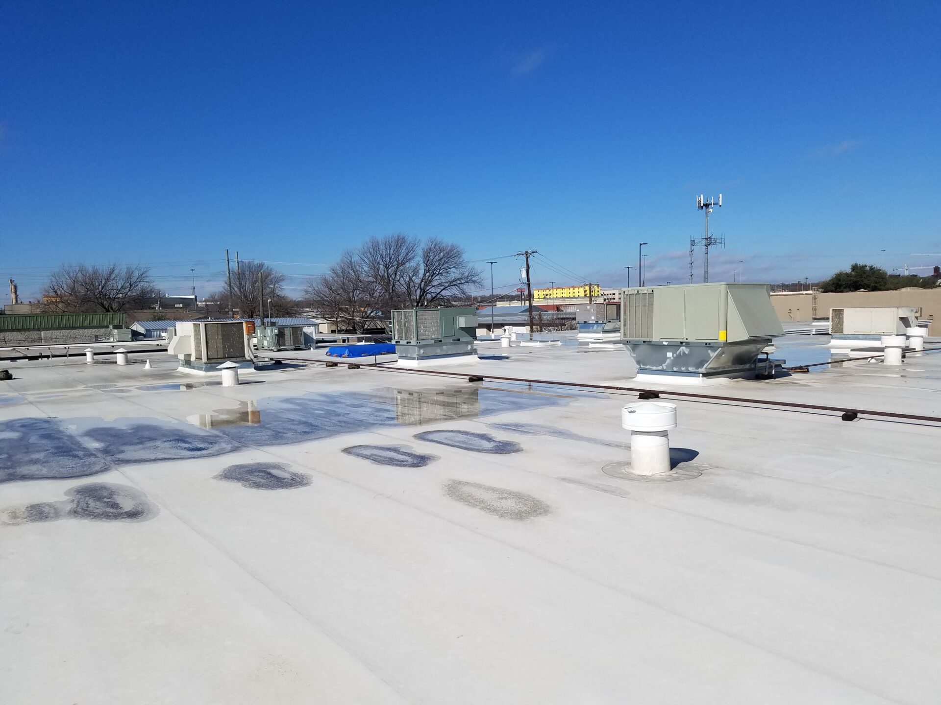 commercial TPO roof