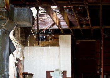 Dealing with Insurance Adjuster after Water Damage